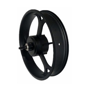 Electric Beach Bike Hub Motor